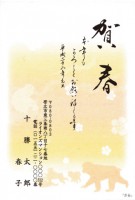 210　(41～＋10枚分絵入年賀印刷料金追加分）見本NO 129～133まで