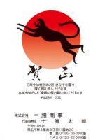 204(41～＋10枚分の2色印刷料金追加分）見本NO 42～67まで