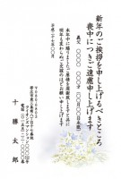 102　私製喪中ハガキカラー(1~40枚までハガキ代込）